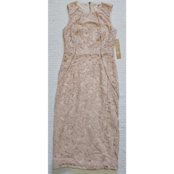 Rachel Roy Blush Lace Dress NWT - Picture 1 of 13